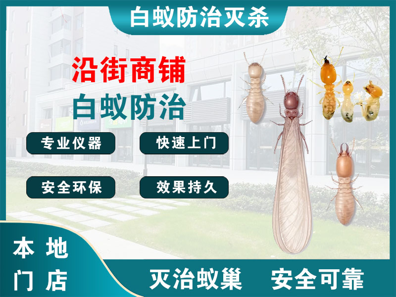 嘉兴沿街商铺白蚁防治