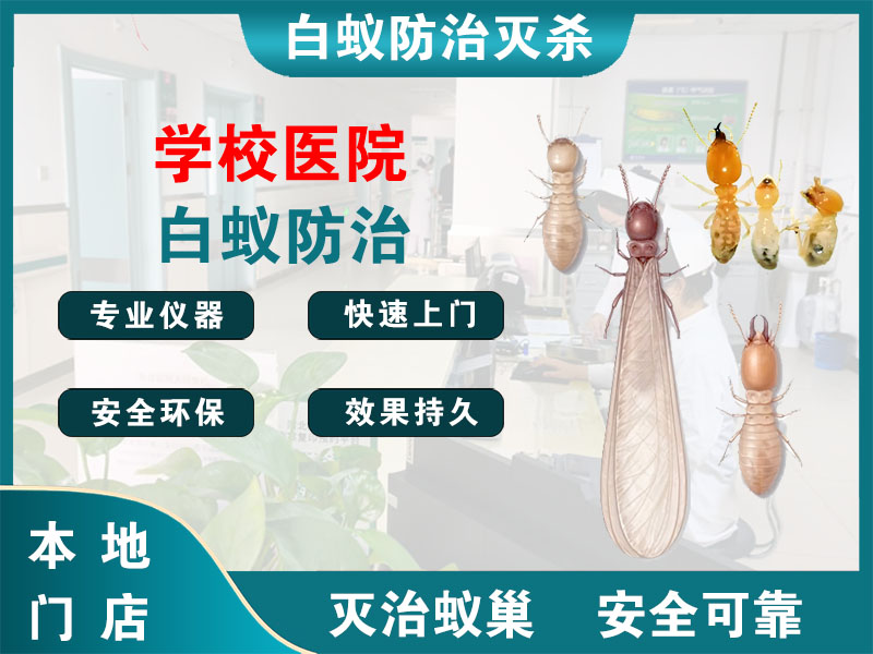 嘉兴学校医院白蚁防治