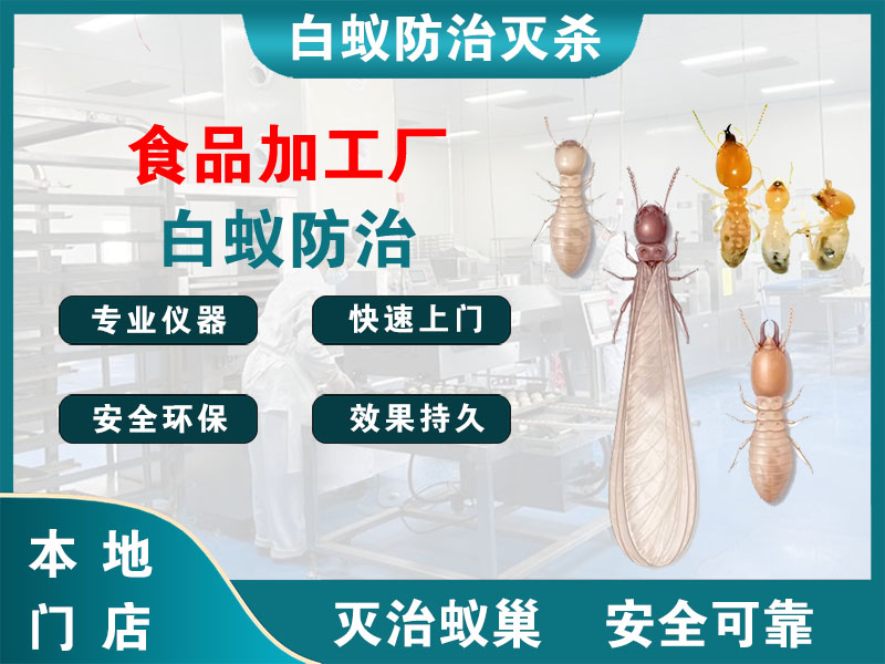 嘉兴食品加工厂白蚁防治