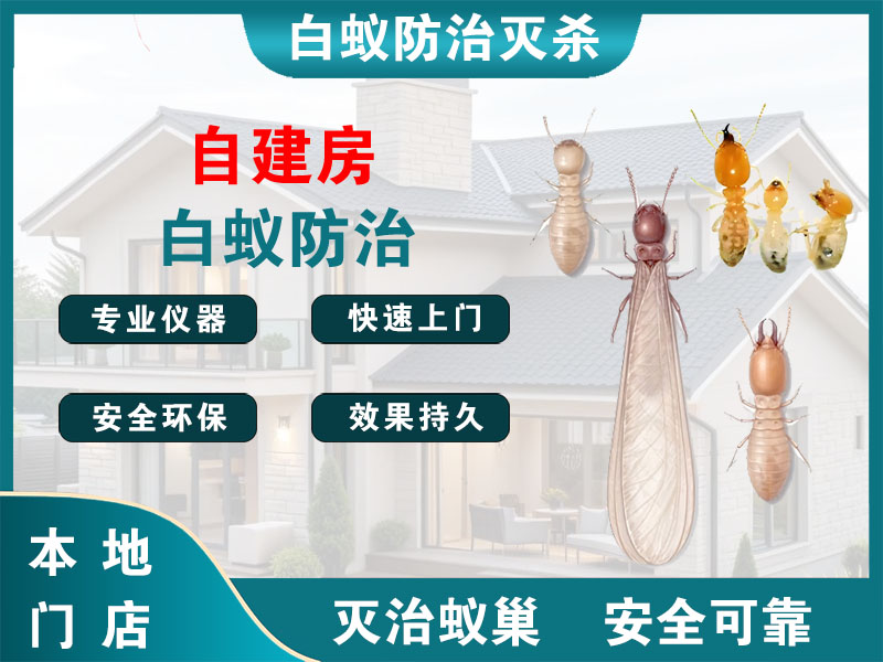 嘉兴自建房白蚁防治