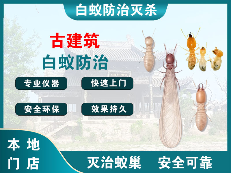 嘉兴古建筑白蚁防治