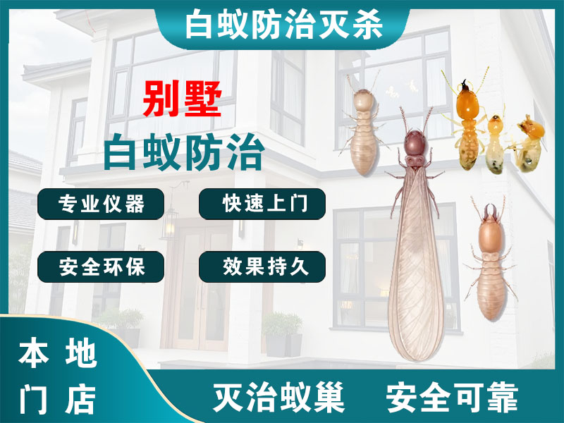嘉兴别墅白蚁防治