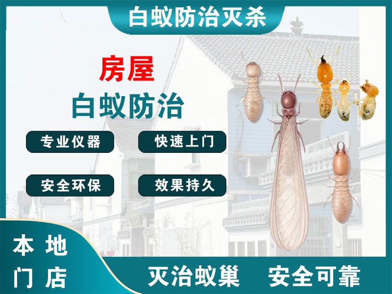 嘉兴房屋白蚁防治